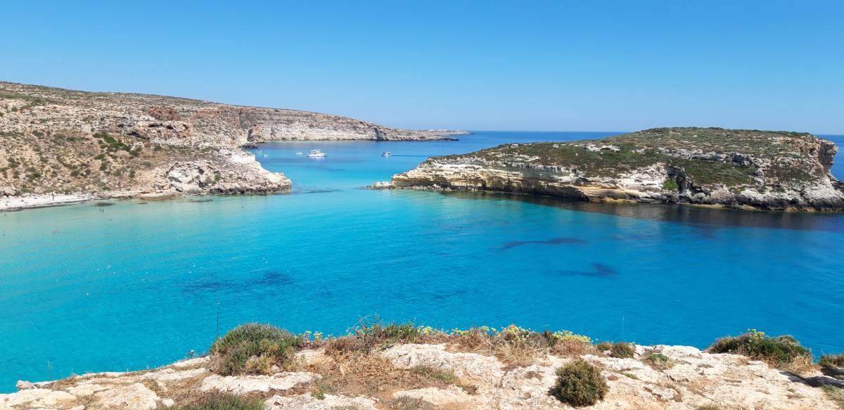 Lampedusa, Spiaggia dei conigli  | 