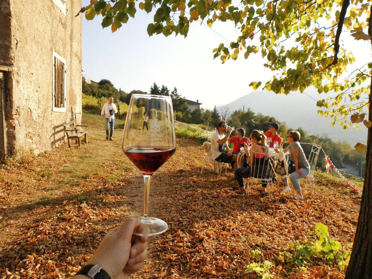 Strada del Vino e dei Sapori del Trentino  | L. Campolongo