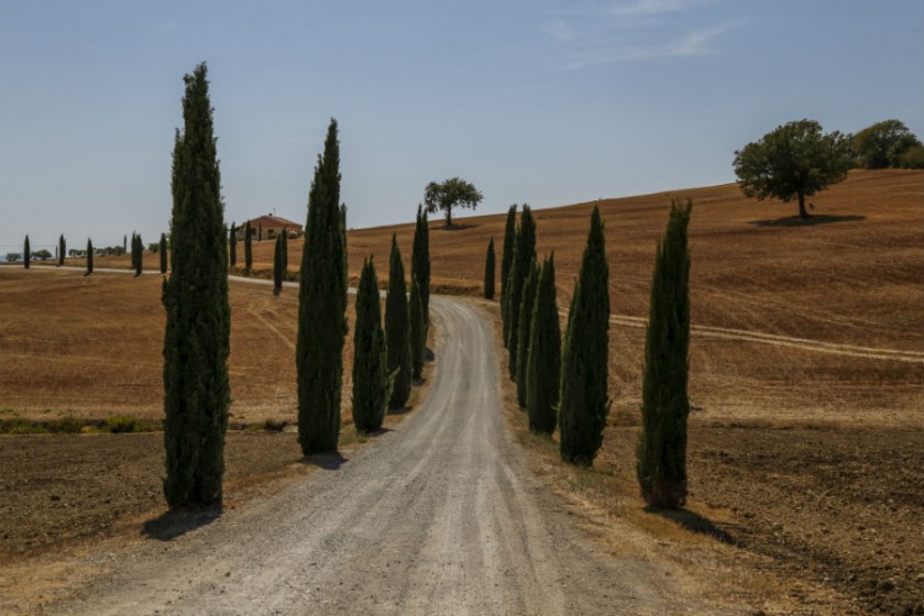 Magliano in Toscana, strade bianche di Maremma  | Paolo Mansolillo