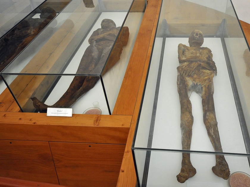 Mummie di Venzone  | 