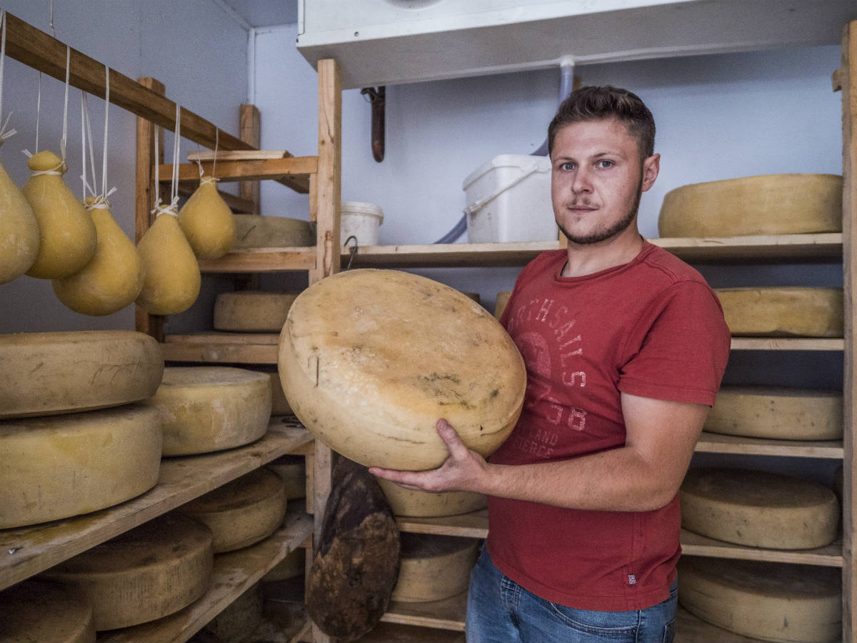 Maiorchino cheese  | Marco Crupi/shutterstock