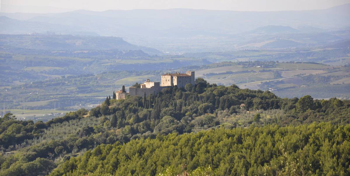 Castello del Poggio - Guardea