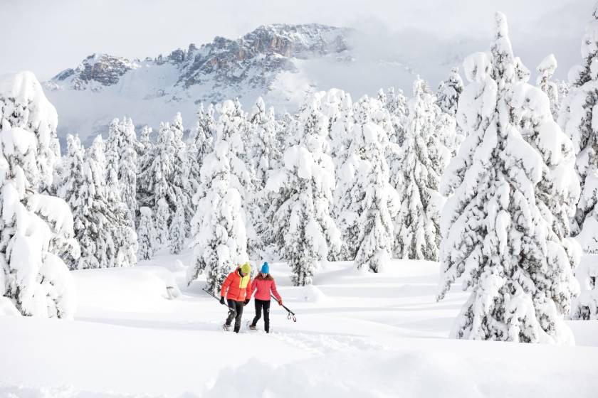 Fiemme Cembra Guest Card: Your 'NEVESSERE' experiences