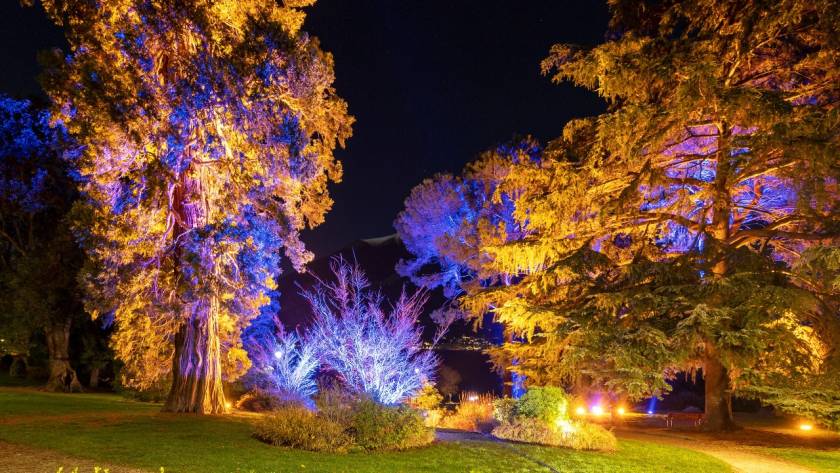 A Bellagio, l'installazione luminosa Living Trees/ Frames of Nature