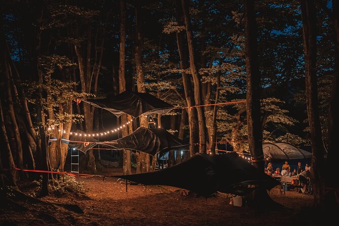 1 notte in tenda sugli alberi