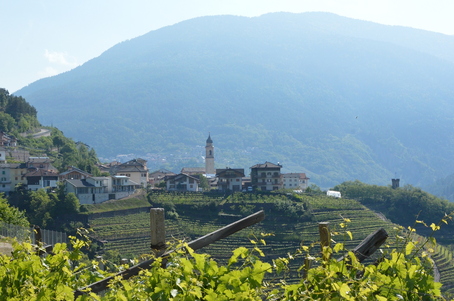 Valle di Cembra, Fototeca Strada del Vino e dei Sapori del Trentino