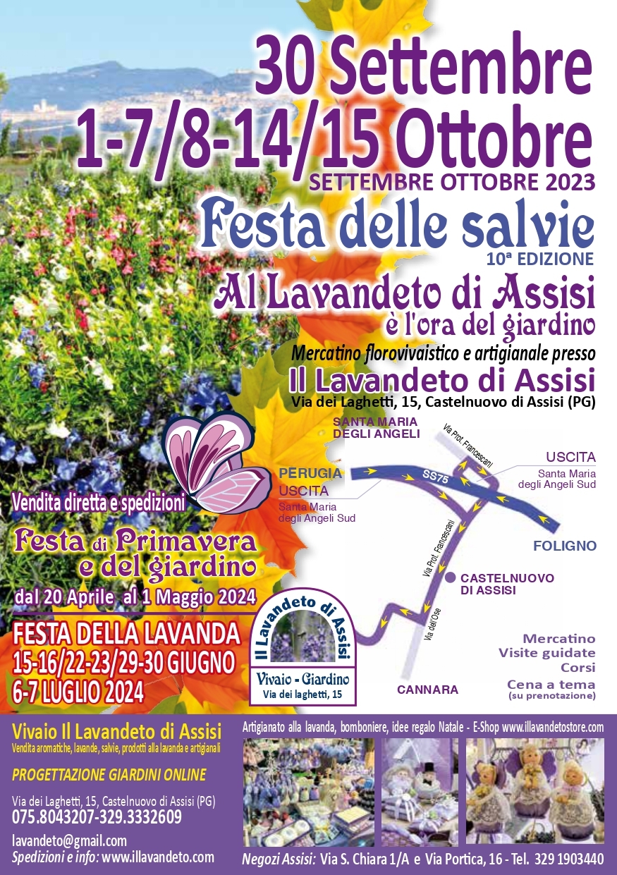 Sage festival in Assisi