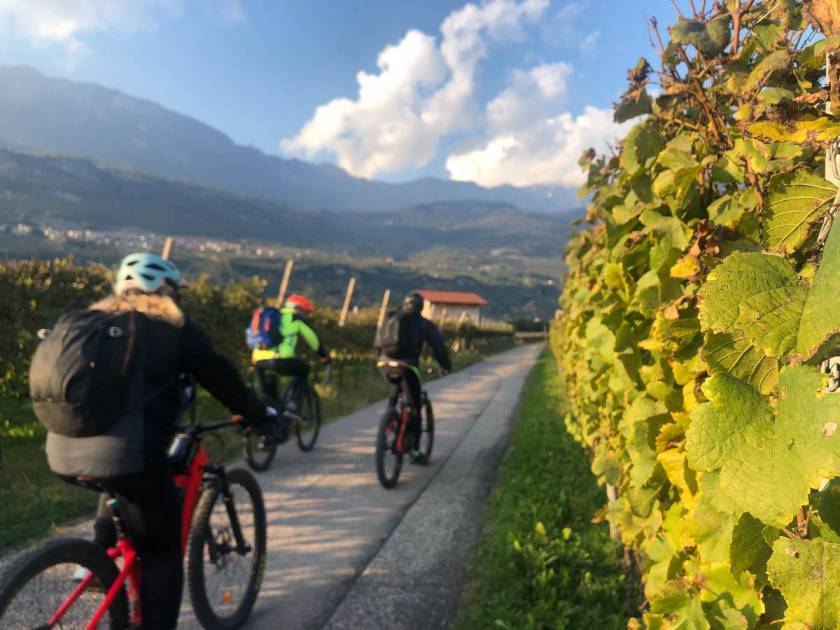 Strada del Vino  e dei Sapori del Trentino