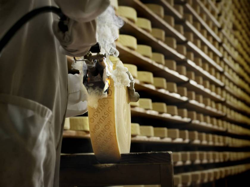 Montasio Cheese Consortium