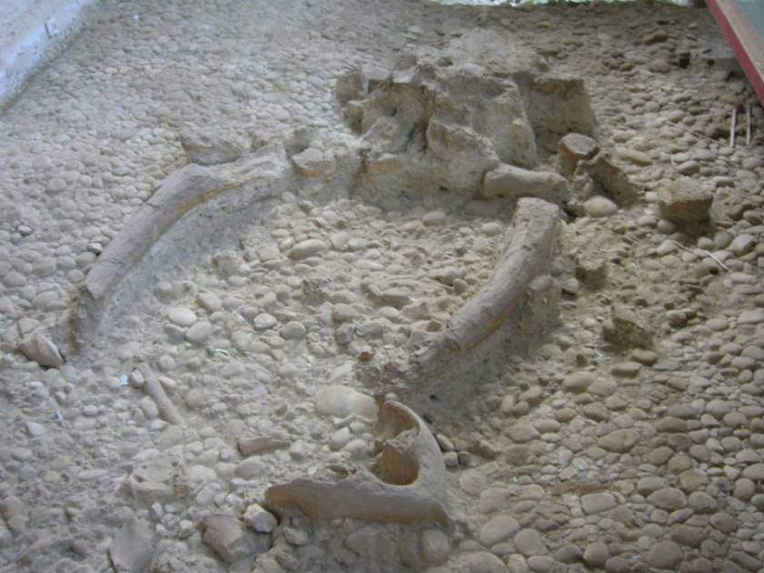 Notarchirico's Archaeological Area