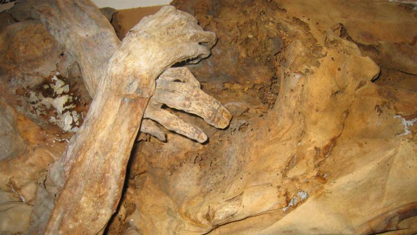Mummie di Venzone