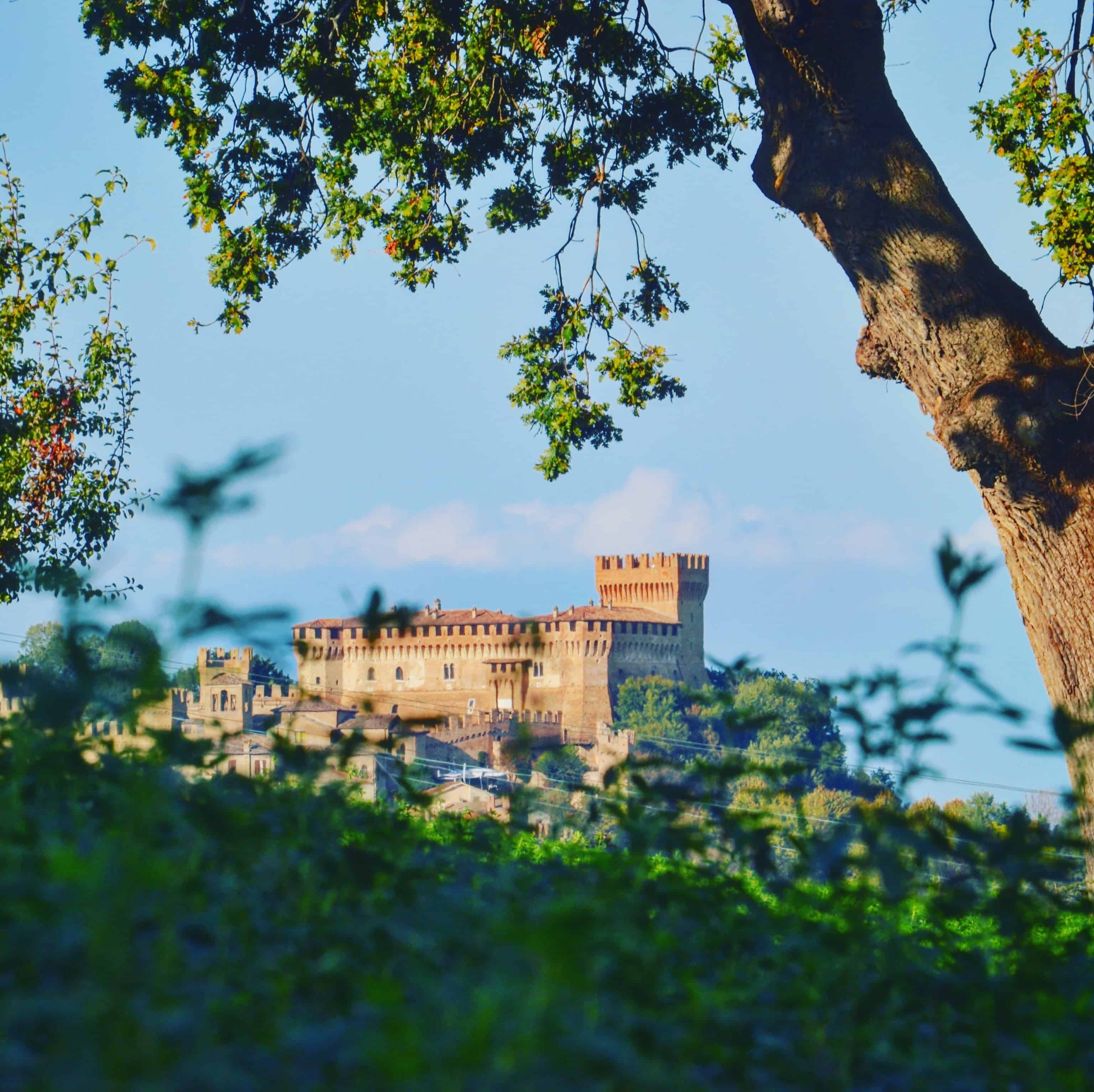 Il maestoso Castello di Gradara fotografato dalla campagna gradarese  | Andrea Albertini - e-borghi Community