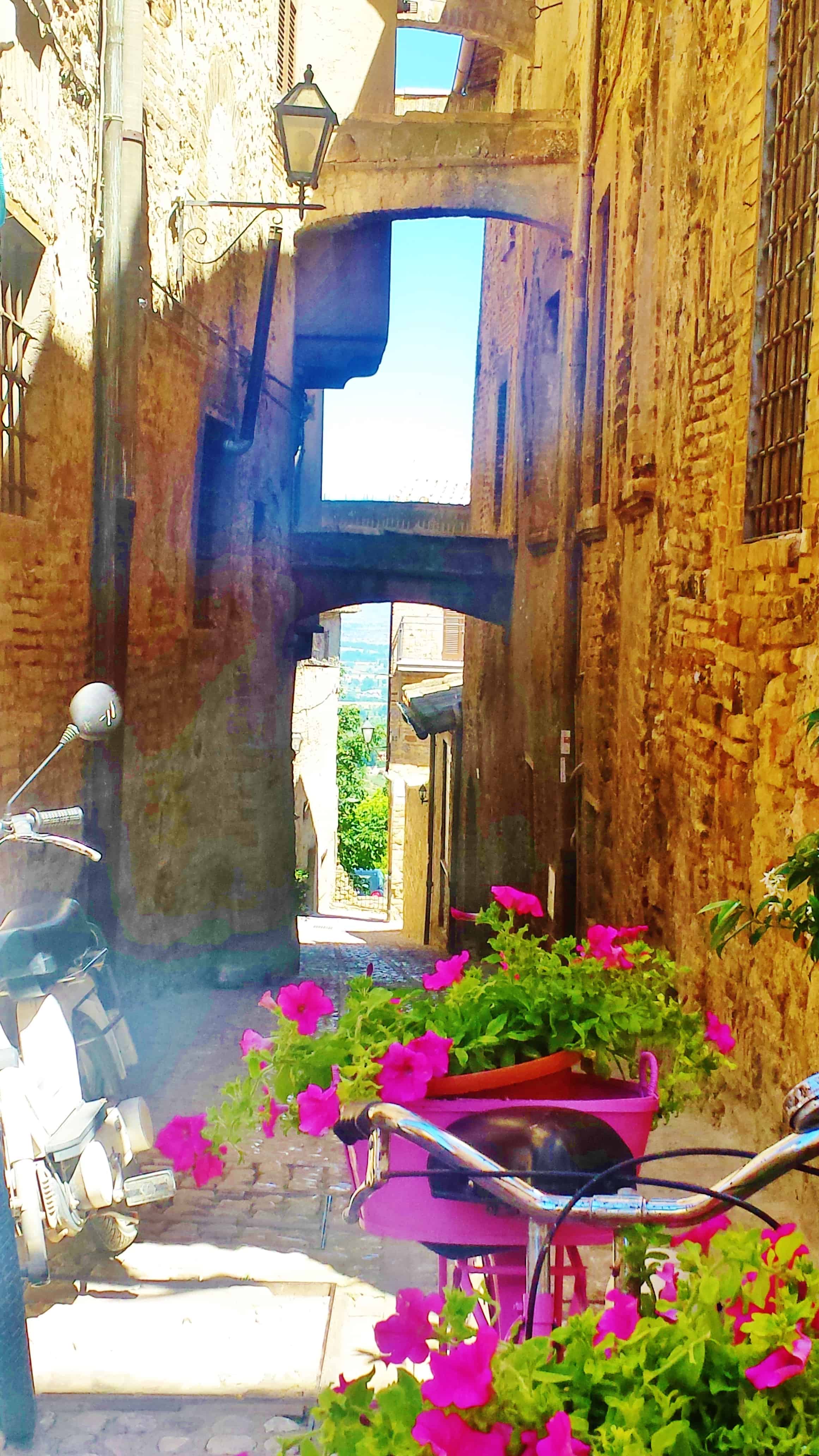 Veduta del piccolo borgo umbro di Montefalco,celebre per il ciclo di Affreschi di Benozzo Gozzoli,e per il pregiato vino Sagrantino di Montefalco.  | Luca Gallerini - e-borghi Community