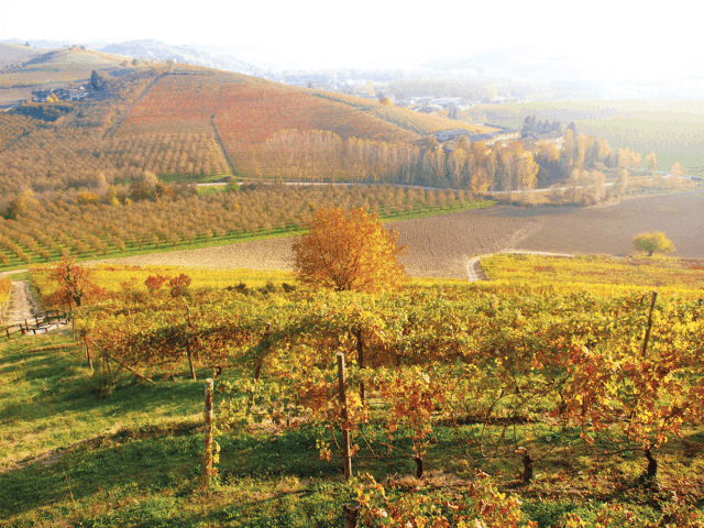 Langhe: journey to the villages of Alba, Barolo, Barbaresco and Neive