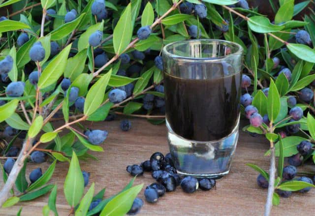 Recipe: Mirto, sips of well-being from the villages of Sardinia
