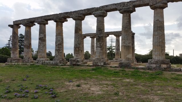 Tavole Palatine.  Resti di tempio dorico della seconda metà del VI secolo a.C. dedicato a Hera  | Morena  Ciclamina  - e-borghi Community